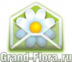 Логотип компании Доставка цветов Гранд Флора (ф-л г.Крымск)